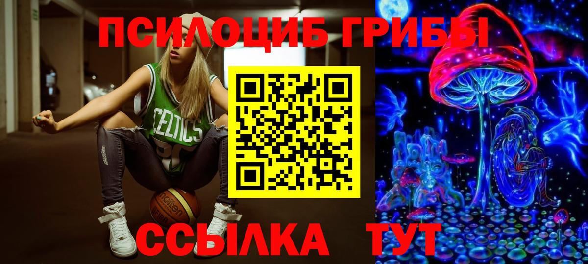 Псилоцибиновые грибы Cubensis Йошкар-Ола