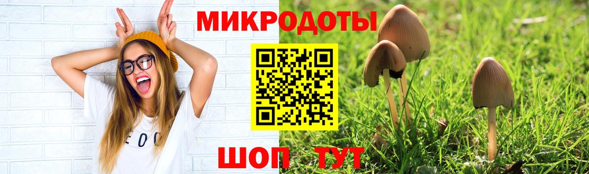 Галлюциногенные грибы Psilocybine cubensis  Вход с VPN  Йошкар-Ола  Галлюциногенные грибы мицелий 